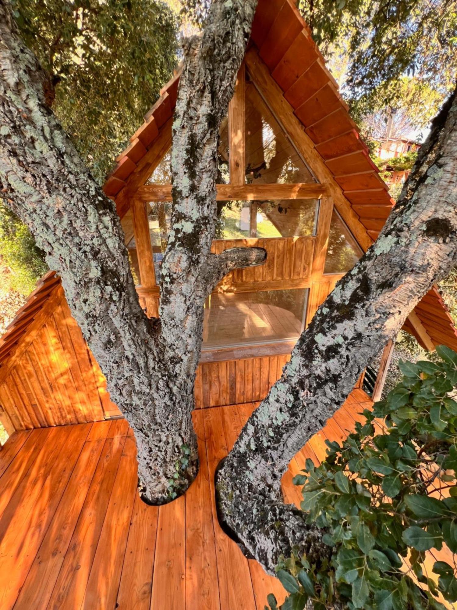 Agriturismo Pereti Роккатедериги Экстерьер фото