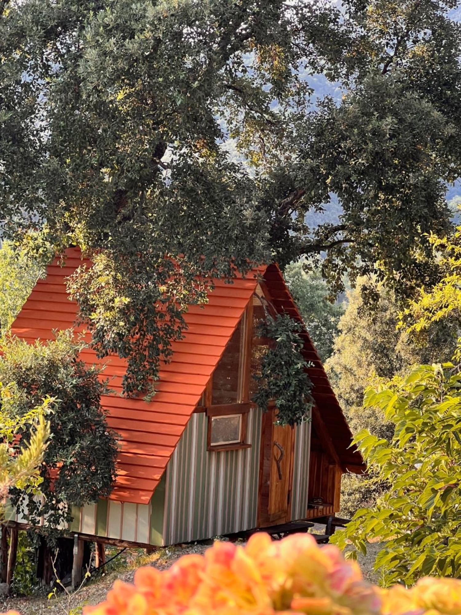Agriturismo Pereti Роккатедериги Экстерьер фото